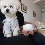 喝油车主头像