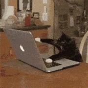 jakac的个人资料头像