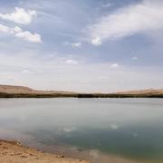 RTE_Force的个人资料头像