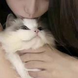 三三2446头像
