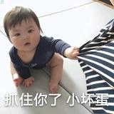 黎明头像