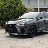 RisonNX350头像