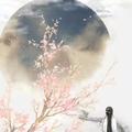 用户101681784358头像
