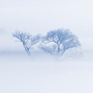 奇妙橙子MlPj00头像