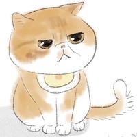 卡特150224710头像