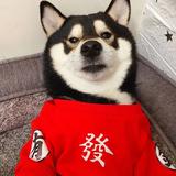 假象2589头像