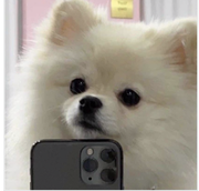 昭晰的个人资料头像