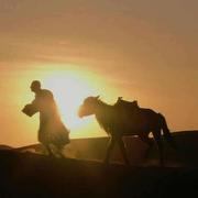 处下的个人资料头像