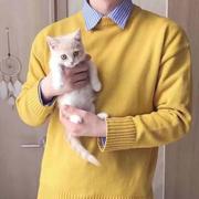 编程学习基地的个人资料头像