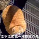 醉清风君的个人资料头像