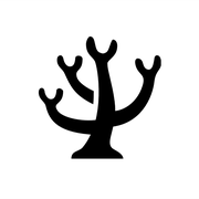 dongfanger的个人资料头像