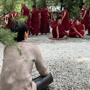 朱迪的内观人生路