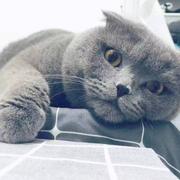 渡的个人资料头像