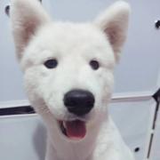 冉三岁的个人资料头像