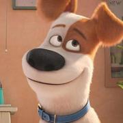 派大星955的个人资料头像