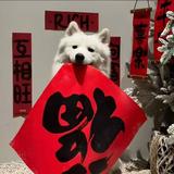 戏如人生1221头像
