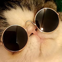 与橙子的日常头像