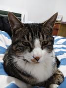 水泥工头头的个人资料头像