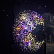 Anakin255的个人资料头像