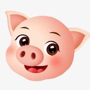 PFY1213的个人资料头像