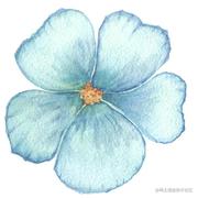 伯克岛居民的个人资料头像