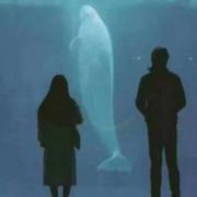 心痛125的个人资料头像