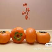 放于远方头像