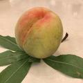 非法童工头像
