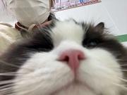 雪兔nbl的个人资料头像