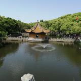 有趣的柑桔aE5头像