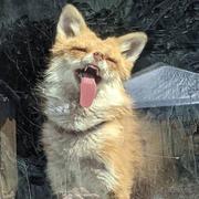 征川一一的个人资料头像