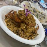 悠悠范范头像