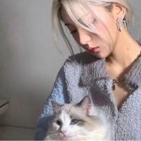 搞什么猫腻头像