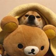 清浅825的个人资料头像