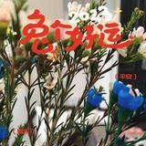 betty291212头像