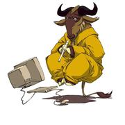 志超365的个人资料头像