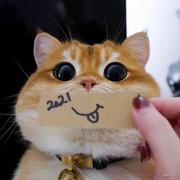 MrYee的个人资料头像