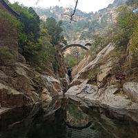 欢快辰星qx头像