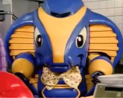 碳烤猪蹄的个人资料头像