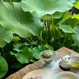 高级葡萄籽牙头像