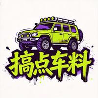 搞点车料头像