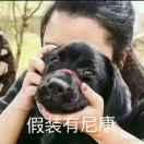 向往同学的个人资料头像