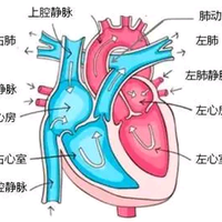 医学基础知识头像