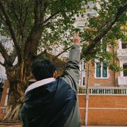 冀西南林路行的个人资料头像