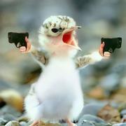 wrking的个人资料头像