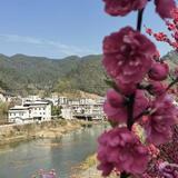 用户95533339头像