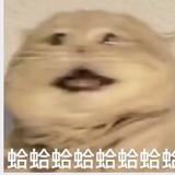 你以为我在第一层头像