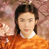 伯爵211968193头像