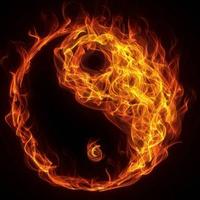 我家周教授头像