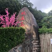 顺其自然2970832999475头像